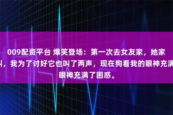 009配资平台 爆笑登场:第一次去女友家,她家狗冲我叫,我为了讨好它也叫了两声,现在狗看我的眼神充满了困惑。
