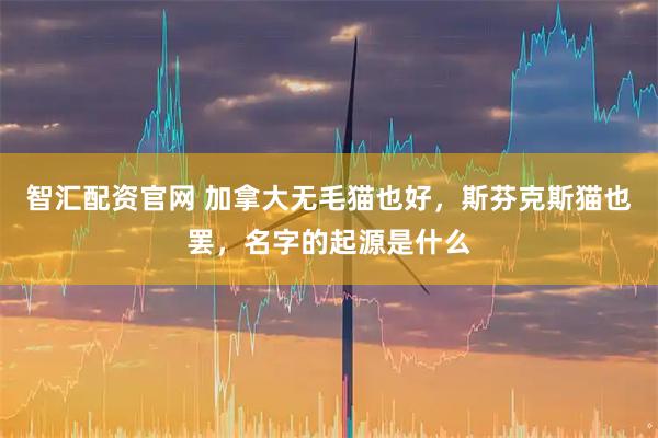 智汇配资官网 加拿大无毛猫也好，斯芬克斯猫也罢，名字的起源是什么