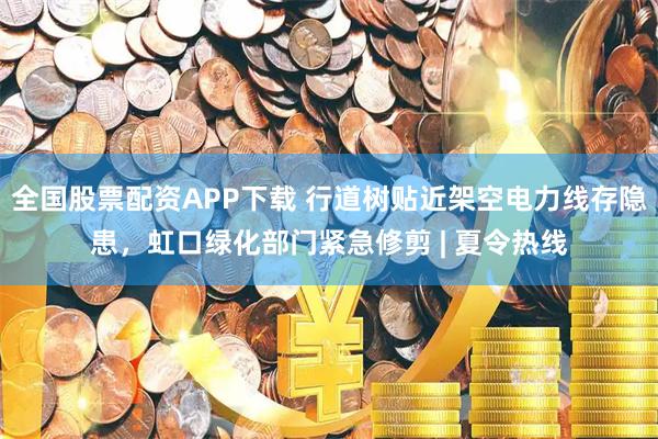 全国股票配资APP下载 行道树贴近架空电力线存隐患，虹口绿化部门紧急修剪 | 夏令热线